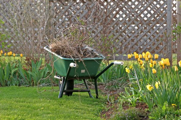 Flower Bed Cleanup Service in Pasadena