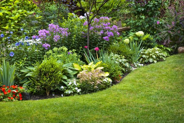 Flower Bed Service in Pasadena