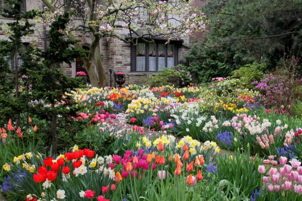 Garden Maintenance Service in Pasadena
