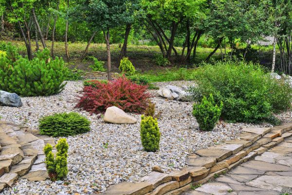 Rock Landscaping in Pasadena