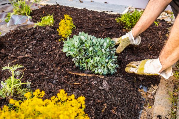 Weeding And Mulching in Pasadena