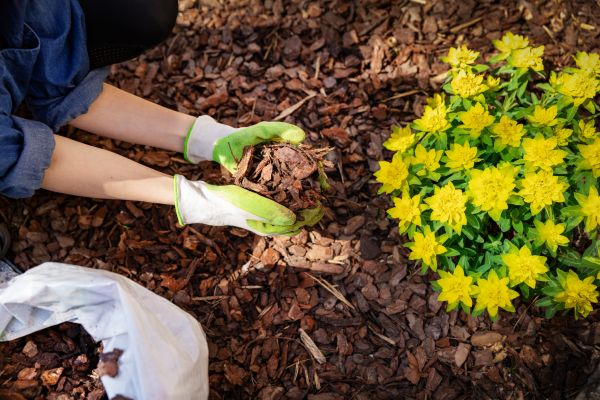 Garden Mulching in Pasadena