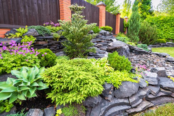 Landscape Remodeling in Pasadena