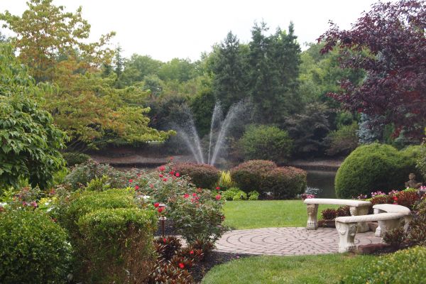 Courtyard Design Service in Pasadena