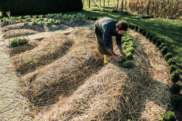 Straw Mulching Service in Pasadena