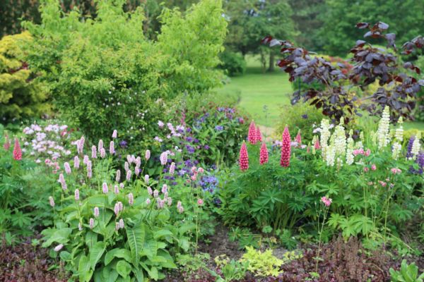 Flower Bed Planting in Pasadena