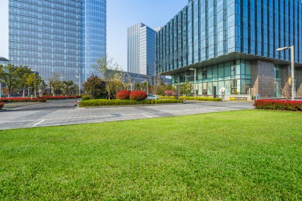 Industrial Landscaping Service in Pasadena