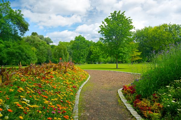 Park Landscaping in Pasadena