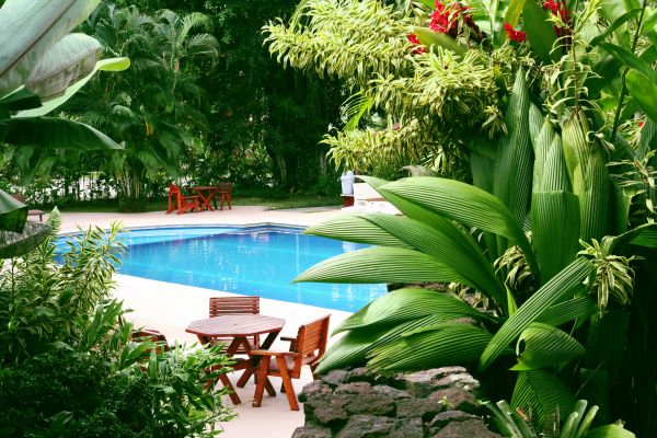 Tropical Garden Landscaping in Pasadena