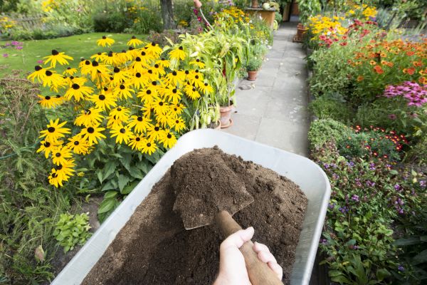 Topsoil Replacement in Pasadena
