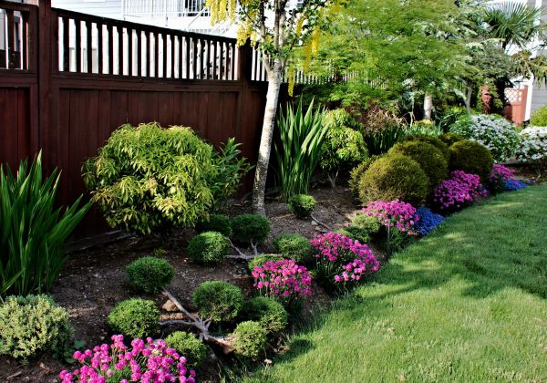 Garden Bed Construction in Pasadena