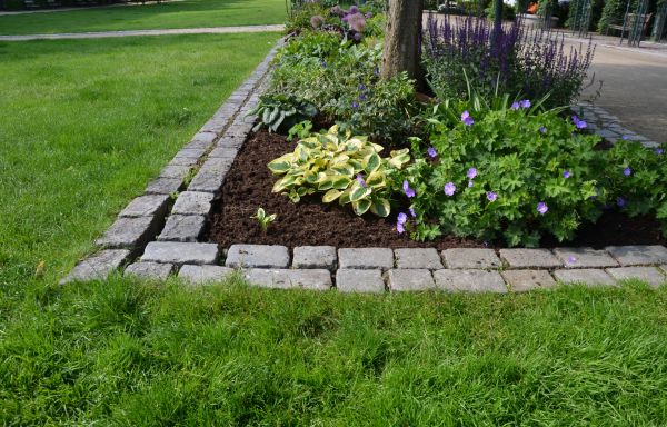 Flower Bed Mulching in Pasadena