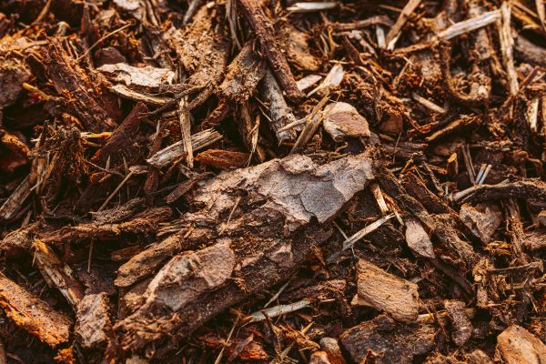 Bark Mulch Delivery in Pasadena