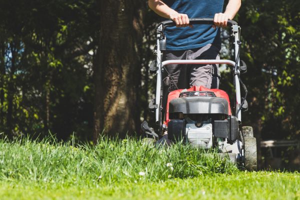 Garden Trimming Service in Pasadena