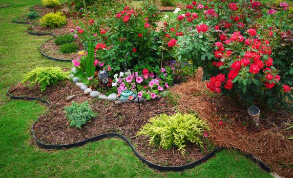 Floral Landscaping in Pasadena