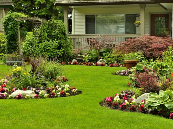 Flower Garden Planting in Pasadena