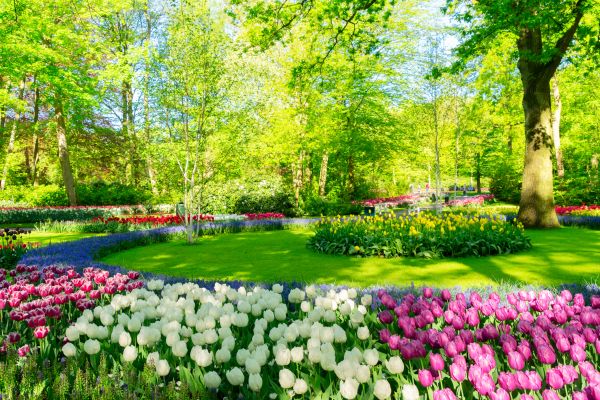 Flower Landscaping in Pasadena