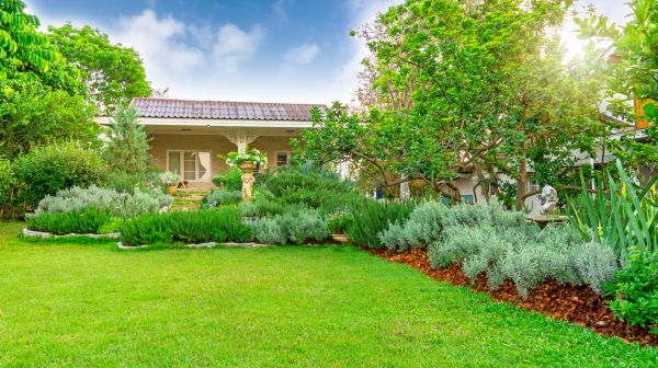 Greenery Planting in Pasadena