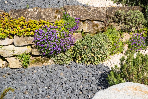 Landscaping Rocks Installation in Pasadena
