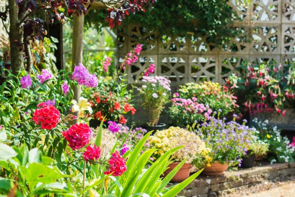 Spring Garden Maintenance in Pasadena