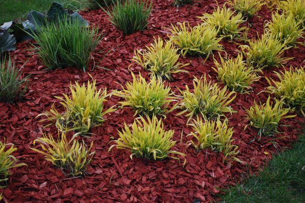 Red Mulch Installation in Pasadena