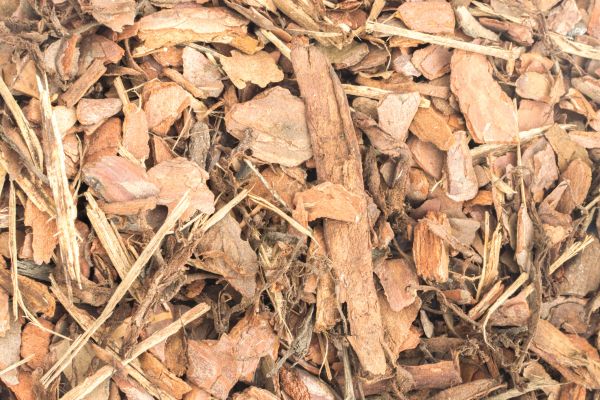 Bark Mulch Installation in Pasadena