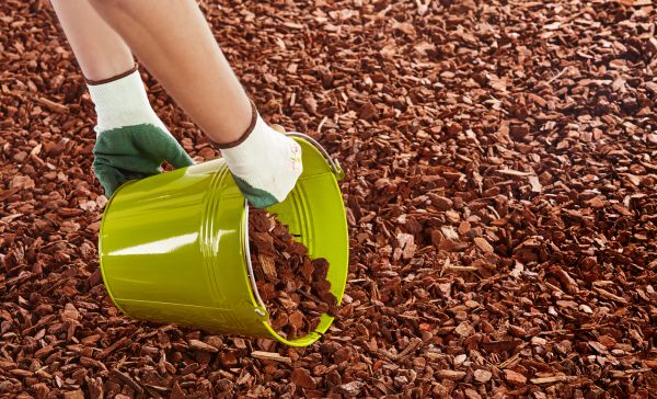 Wood Chip Landscaping in Pasadena