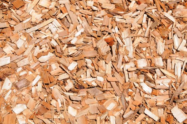 Cypress Mulch Spreading in Pasadena
