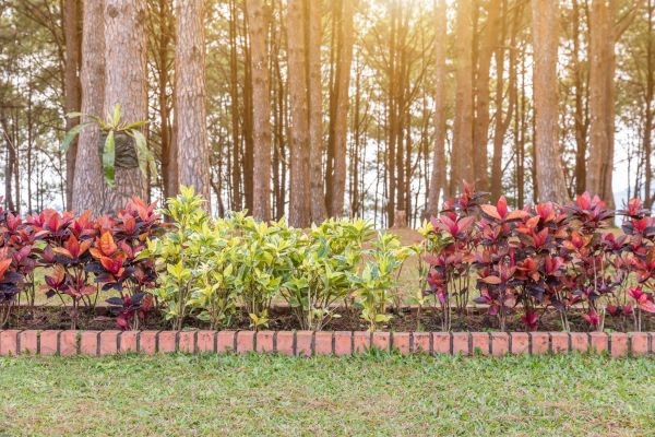 Small Garden Landscaping in Pasadena