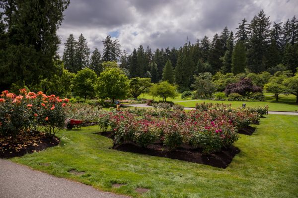 Flower Garden Landscaping in Pasadena