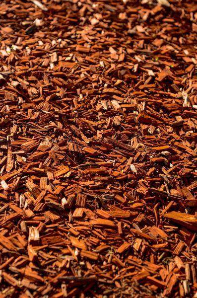 Cedar Mulch Spreading in Pasadena