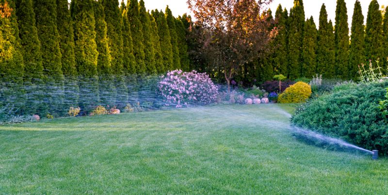 Irrigation System Professionals